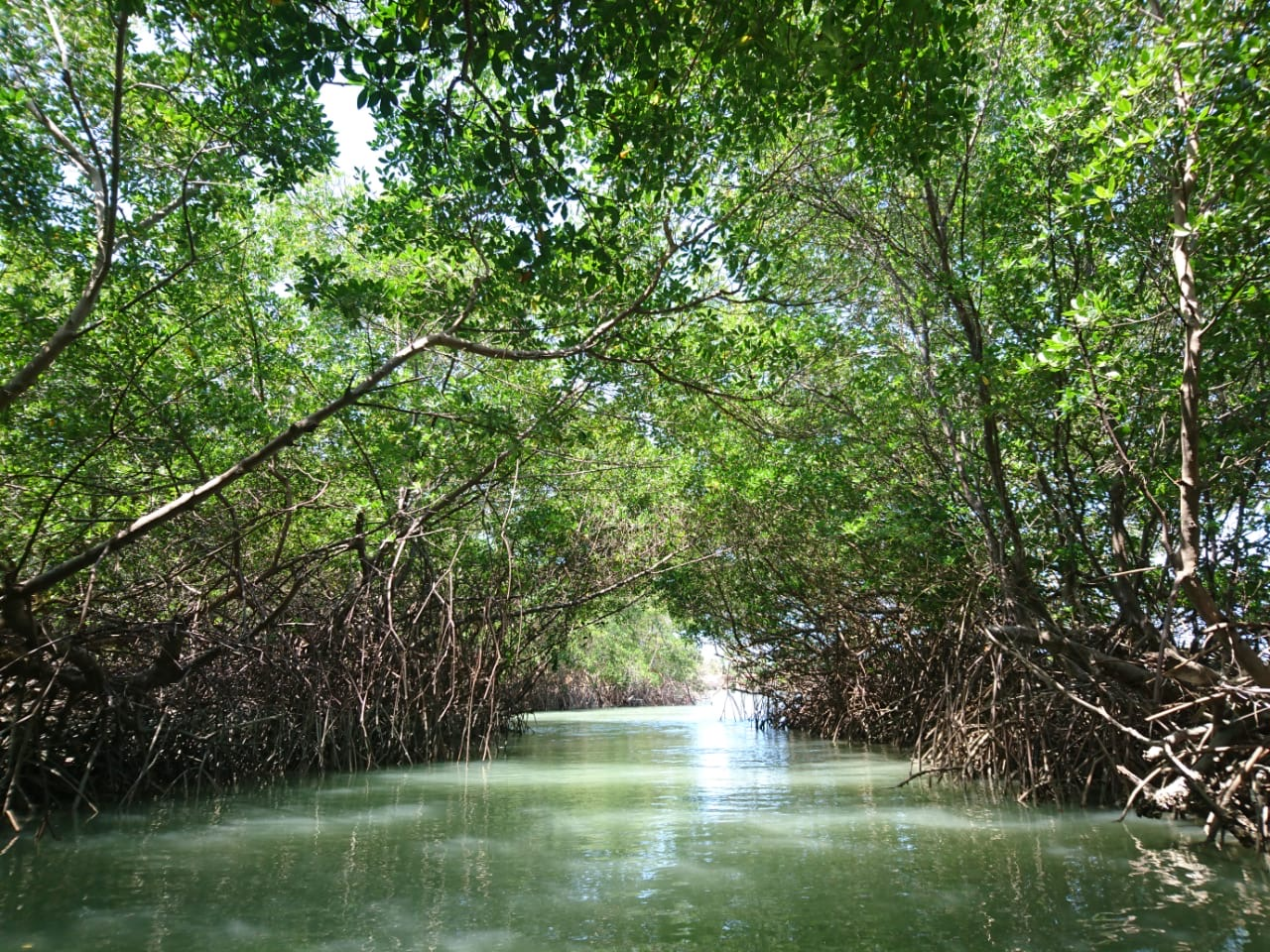  FLECHEIRAS e ICARAIZINHO: Praias do Litoral Oeste do Ceará